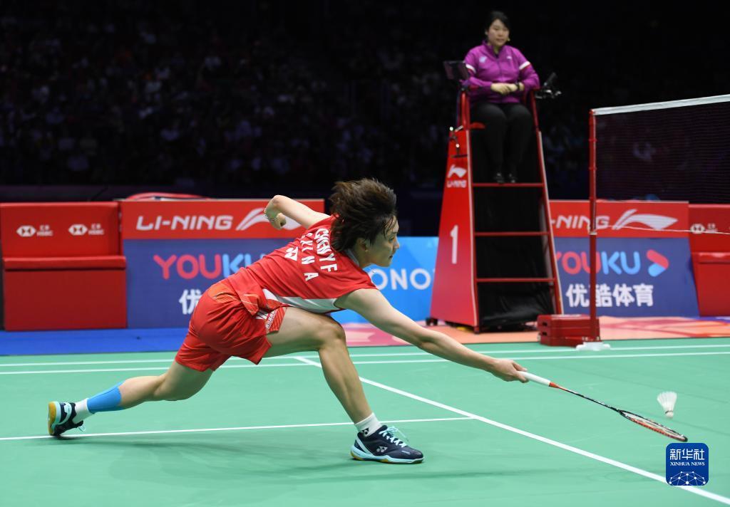 他们的联赛 他们的联赛